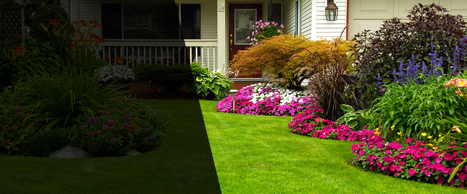 Freedom Landscapers