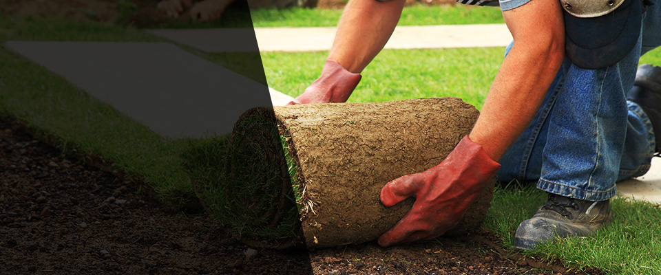 Freedom Landscapers